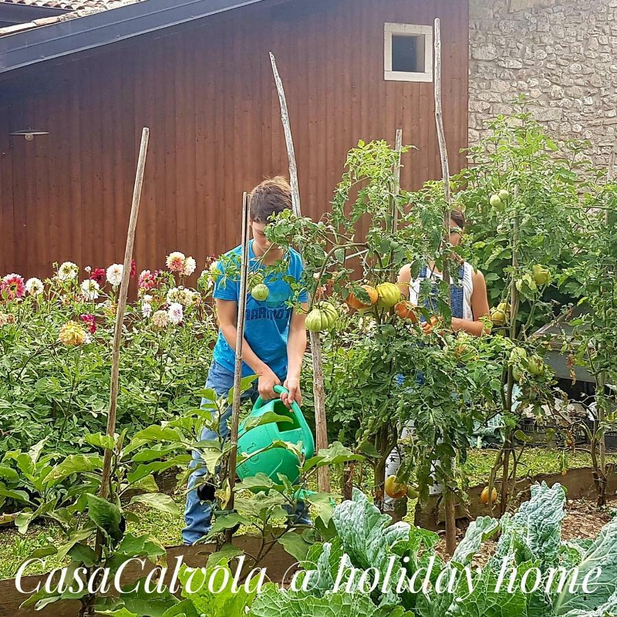 Casa Calvola holiday home Tenno Exterior foto
